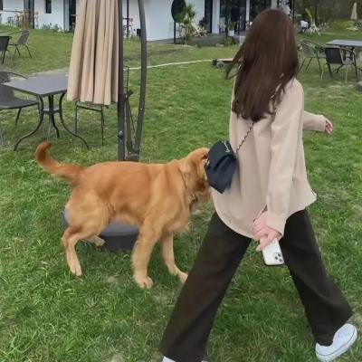 鬼娘子